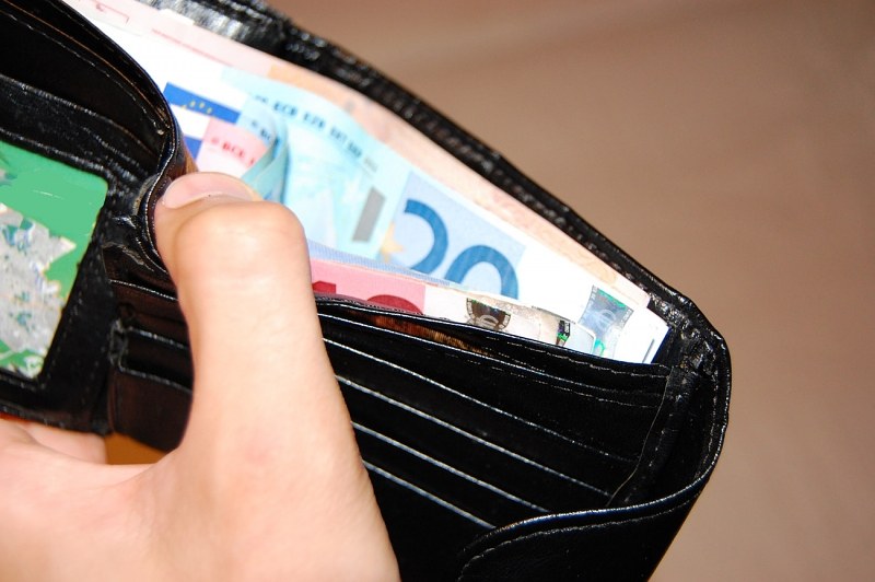 Hand holding an open wallet with euro banknotes